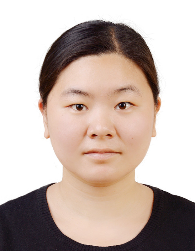 Xinrui Zhang : Guest researcher - Computer-assisted Image-based Interventions